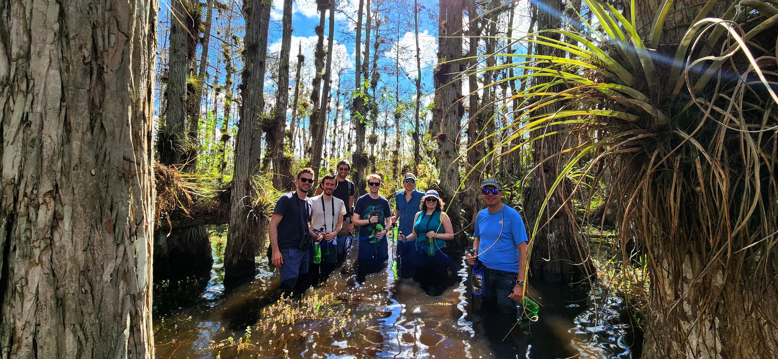 Everglades Tour with Wet Hike (Tour 3 WEST Coast)