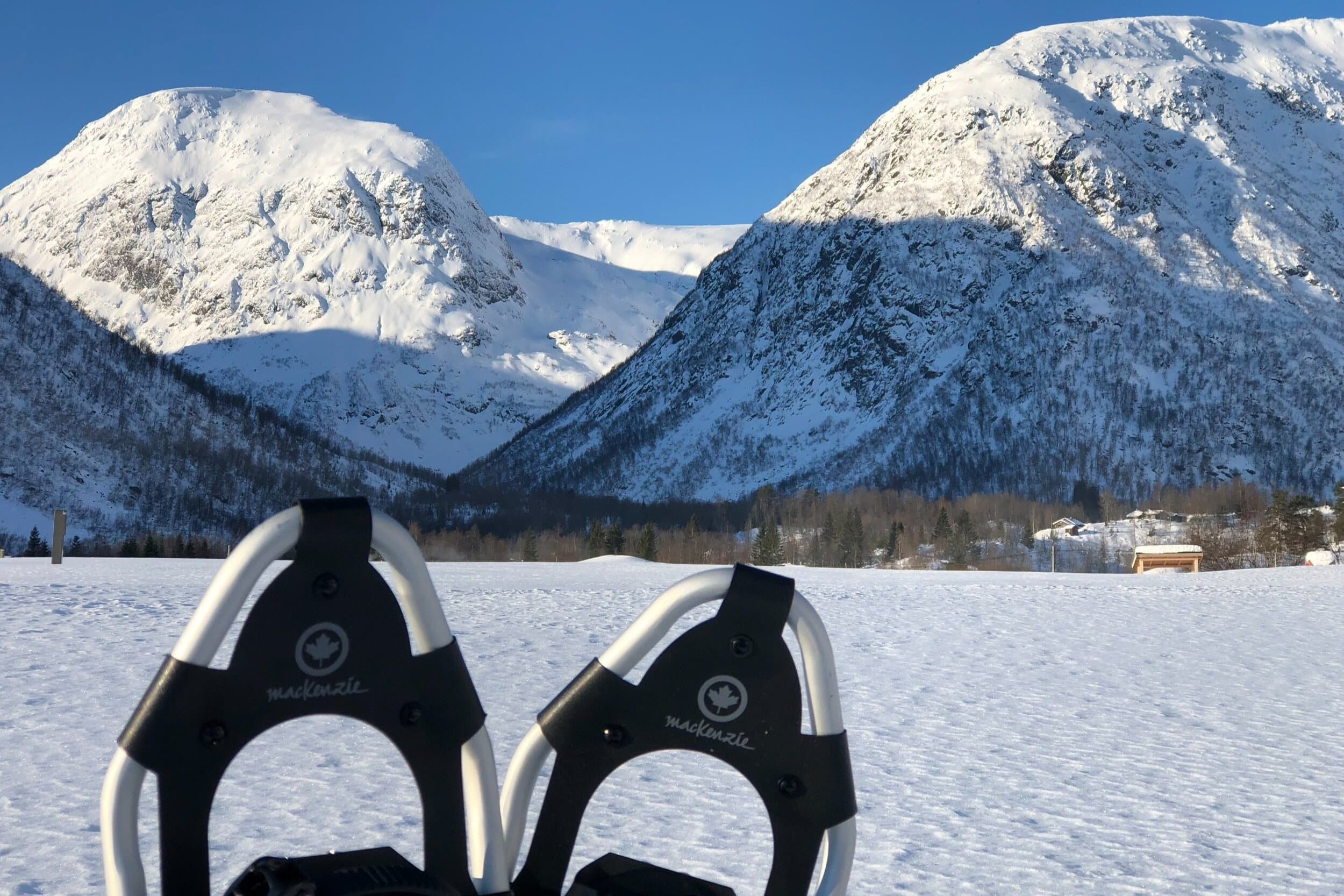 Snowshoes and Poles