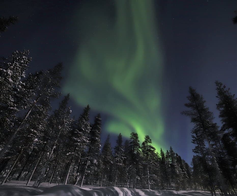 Romantic Aurora Hunting with Horse Carriage for 2 persons