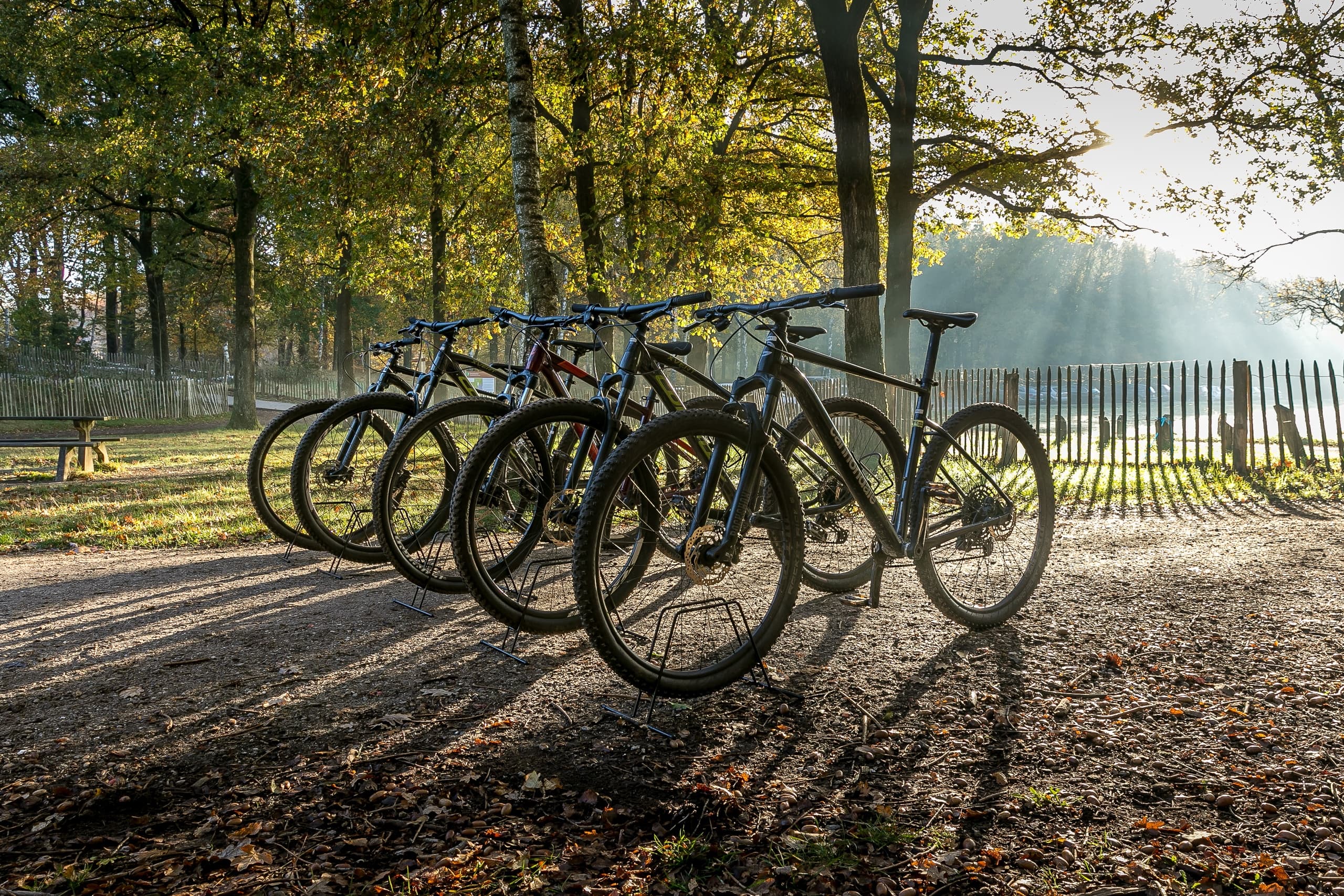 Route Amerongen, Leersum en Rhenen