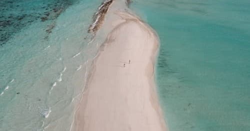 Sandbar Trip