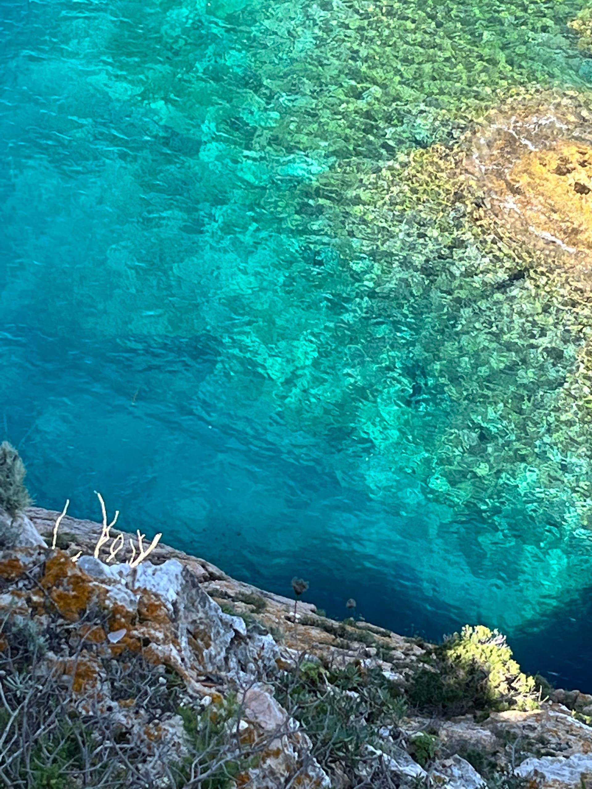 Tailor Made Nature Hikes