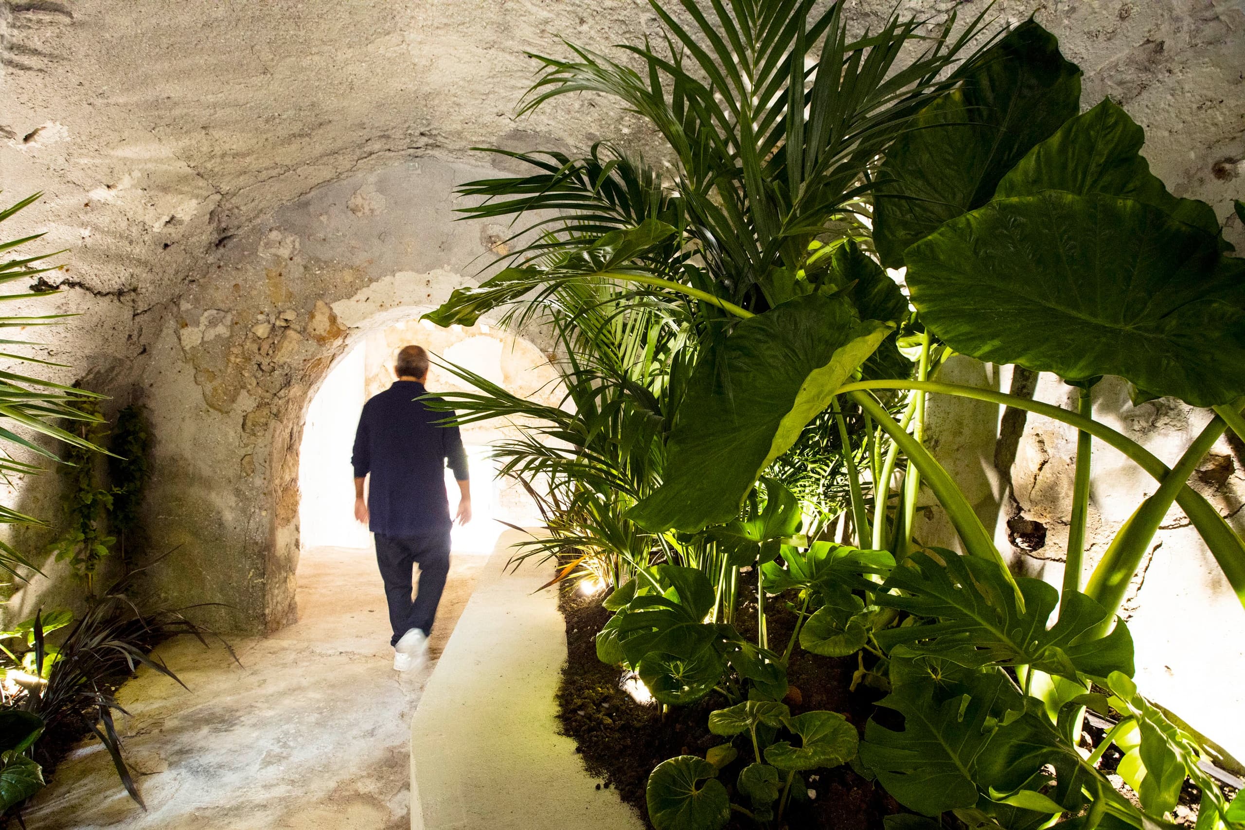 Abbiamo Tutto Manca il Resto  │ Palazzo Miccichè │ Human Forest 2024