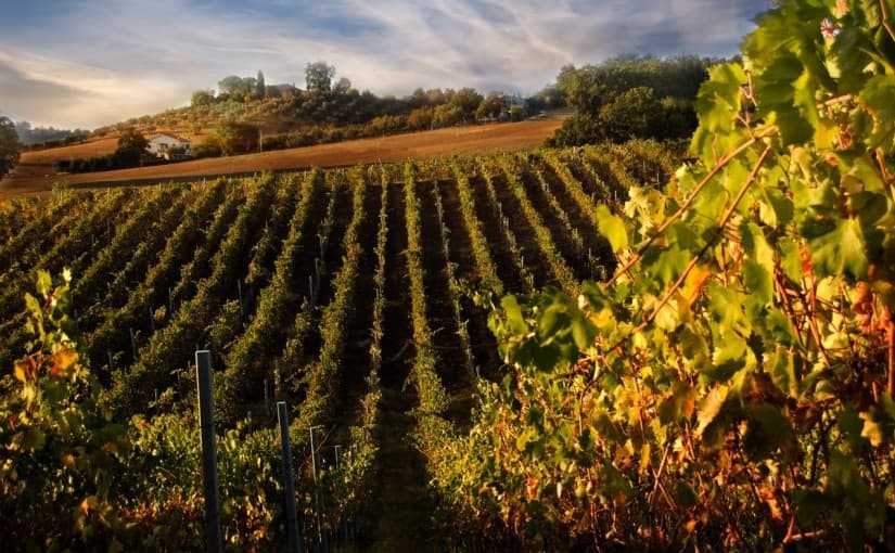 Chianti Tours