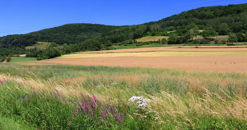 Brewing Heartland Beer Hike Food Experience - Private Tour