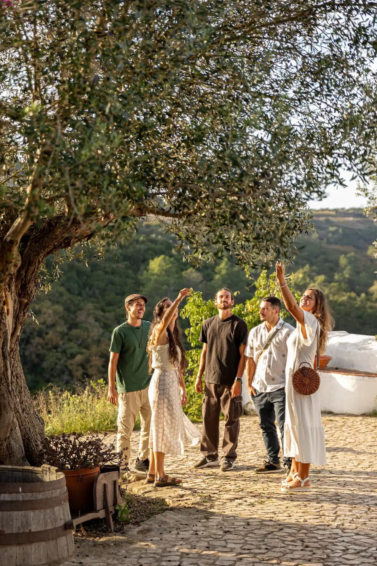 Vintage Countryside Gastronomic - Open Tour