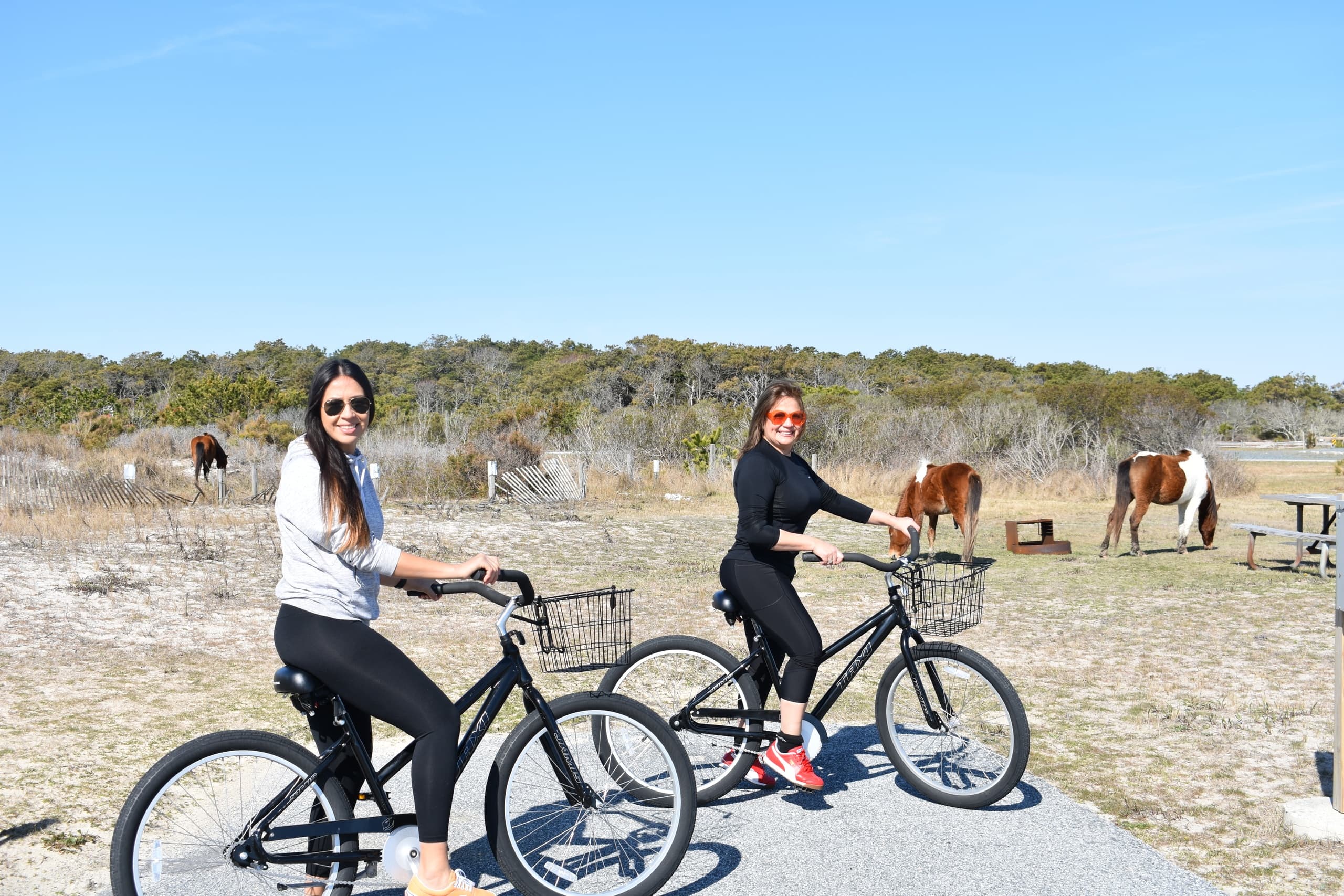 Overnight 24 HR Bicycle Rental - Bayside Stand