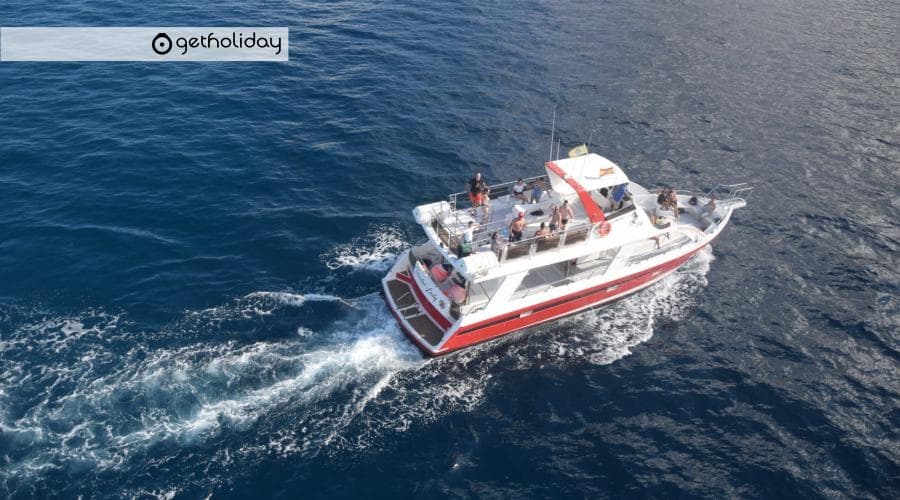 Avistamientos De Ballenas En Los Cristianos