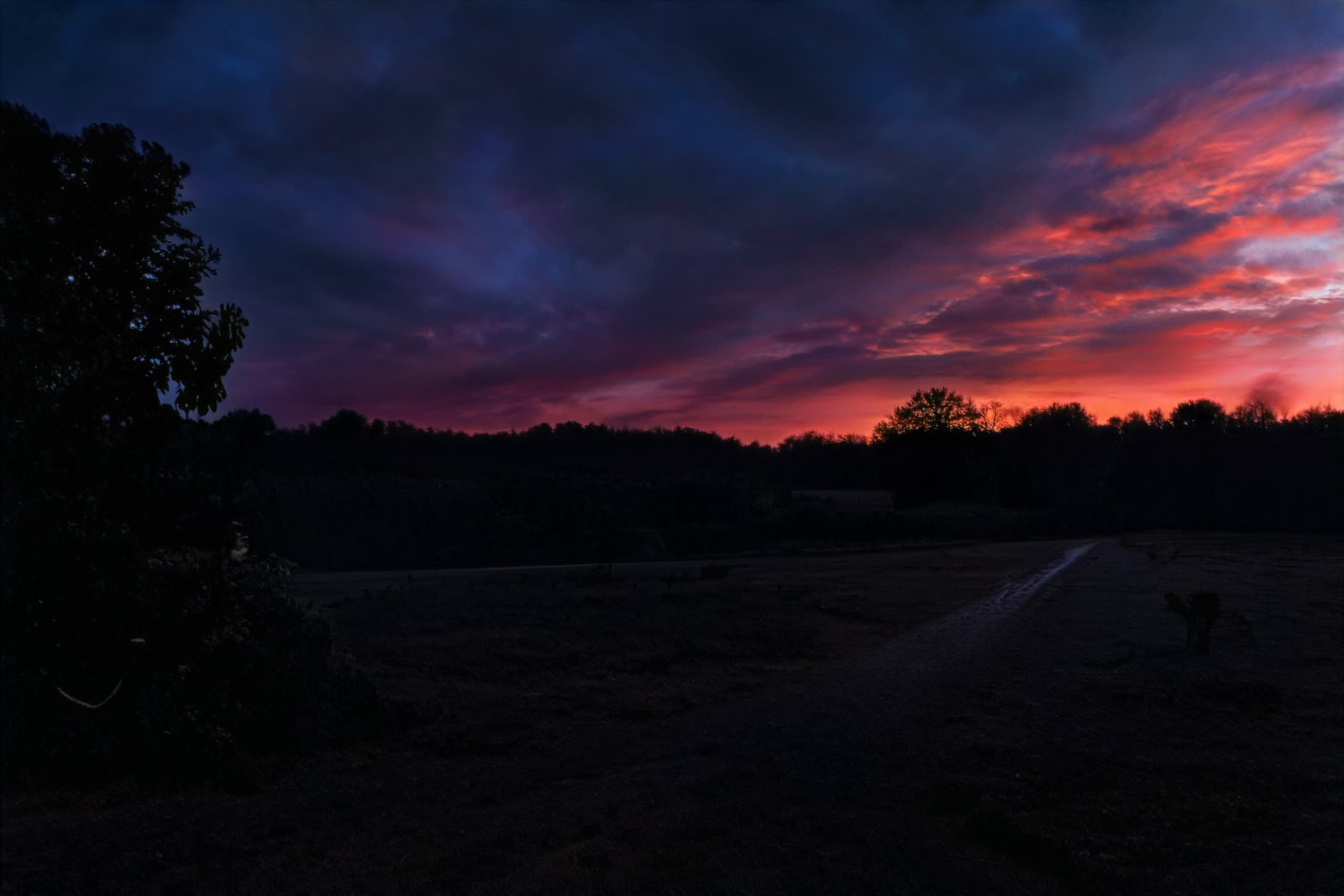After Dark: Nighthike in Rome's Caffarella Nature Park