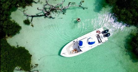 Half Day Sandbar
