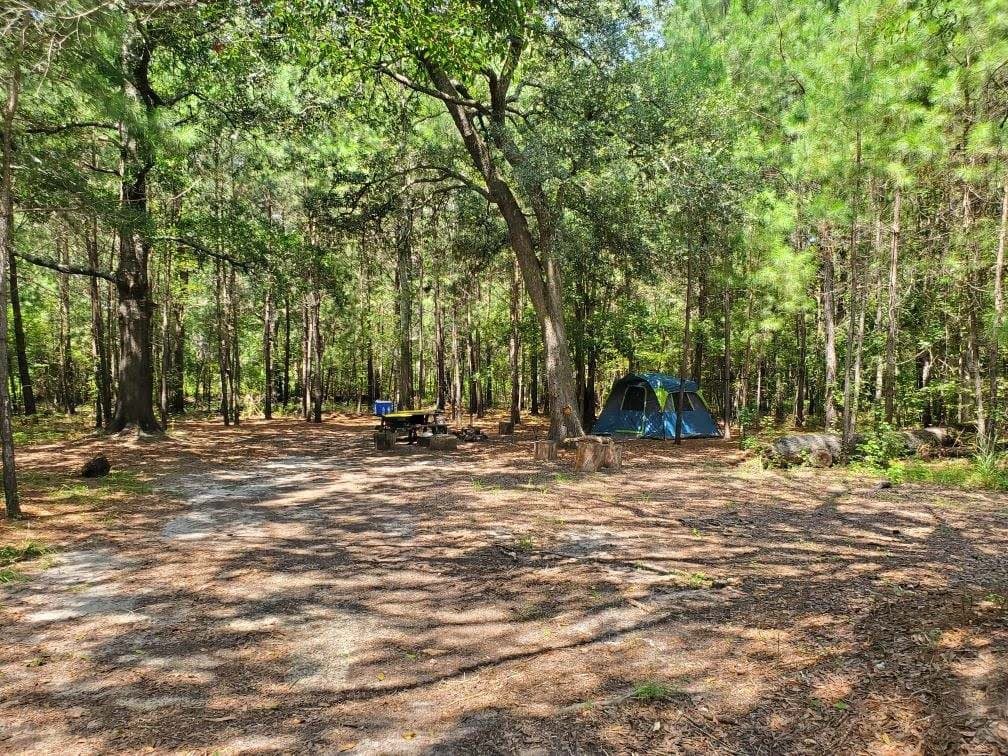 Wooded Campsite #3