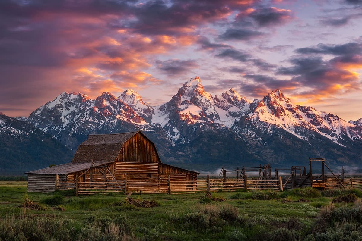 Sunrise & Sunset Safaris (Summer) - Jackson Hole