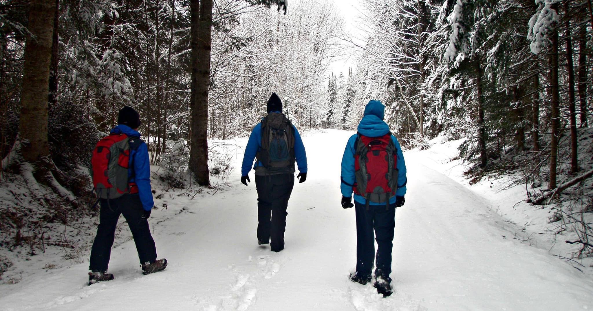 Full Day Hike, Walk, and Snowshoe Adventure