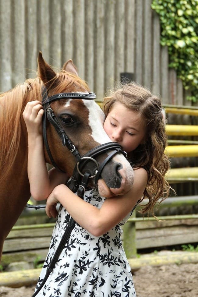 Horses for Photo Shoot • 4 Hours