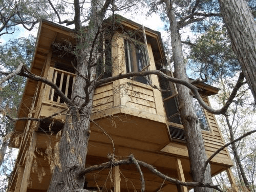 The Lorax Loft
