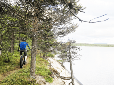 Little Singletrack Gem