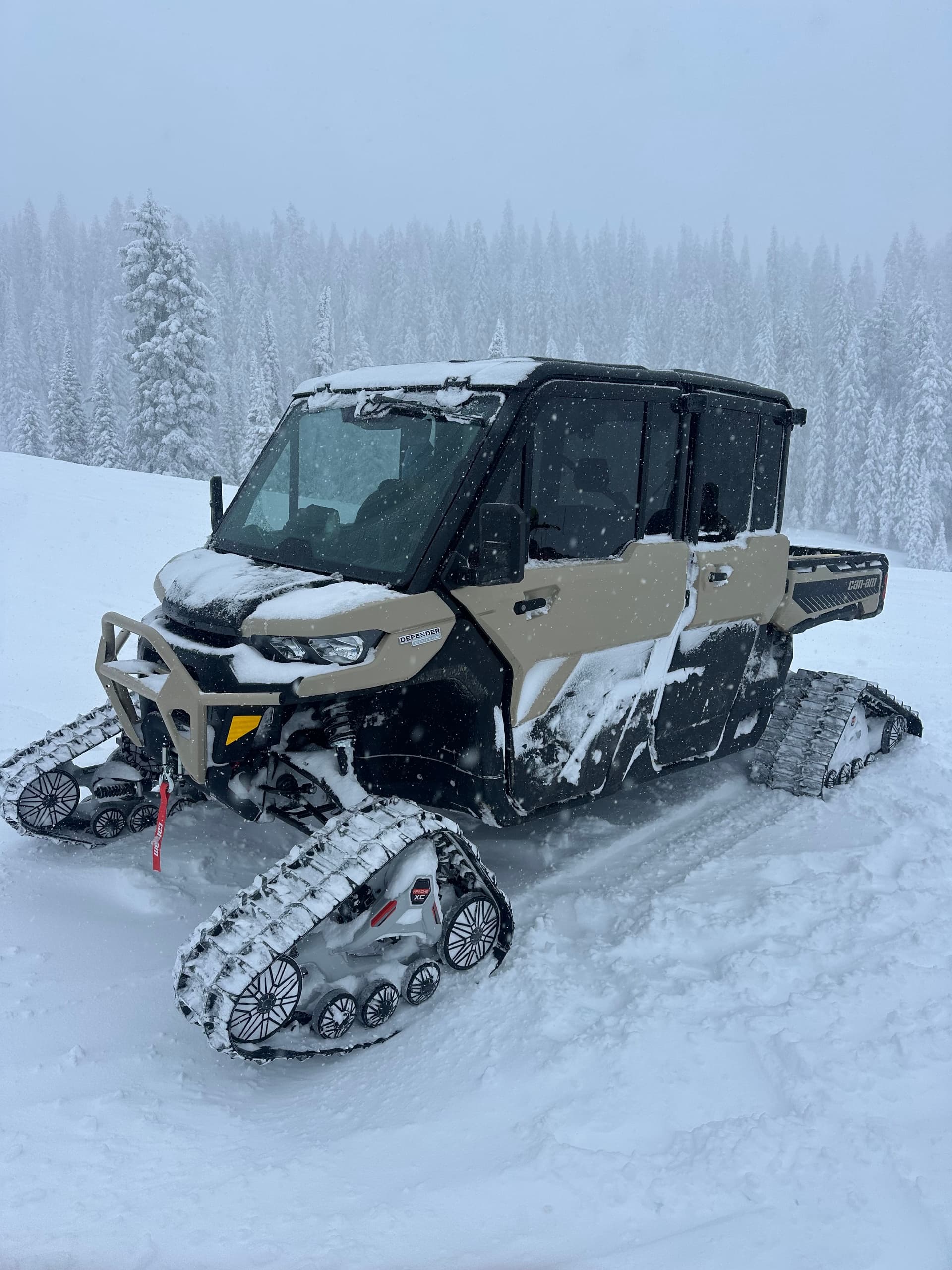 6 Seat UTV/SXS with Snow Tracks