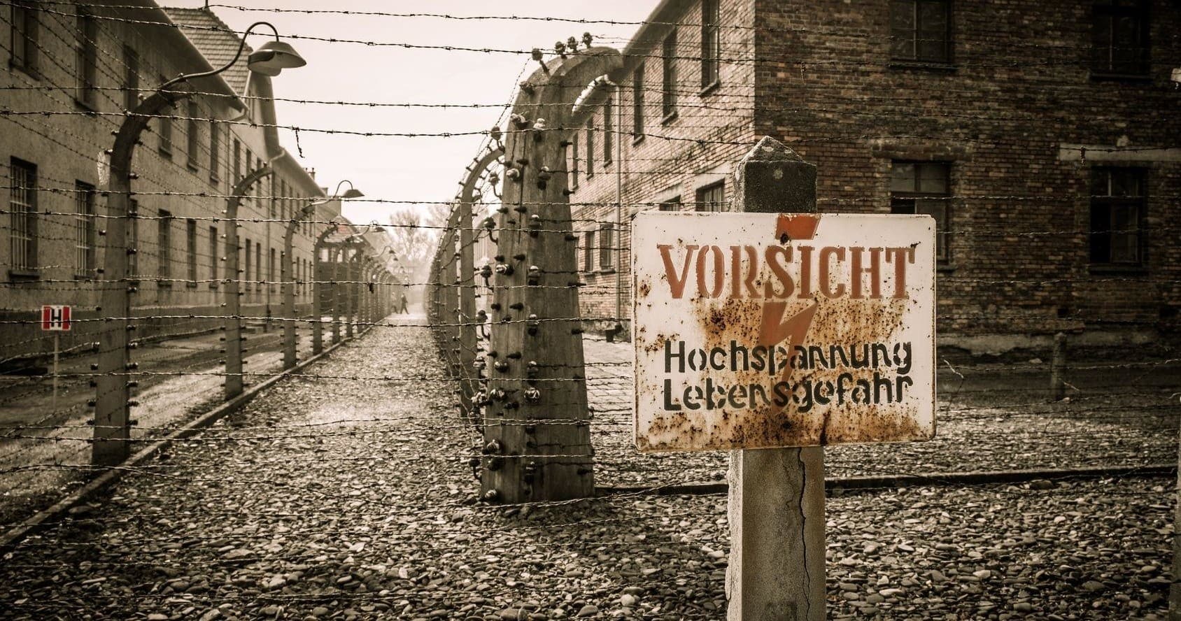 Krakow & Auschwitz Day Tour from Lodz