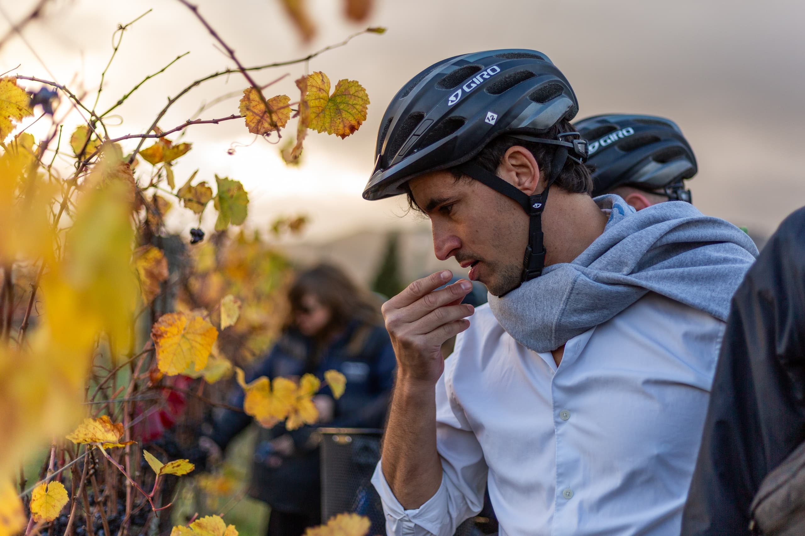 Winter Wine Wander: Self-Guided Biking & Wine Trail Experience