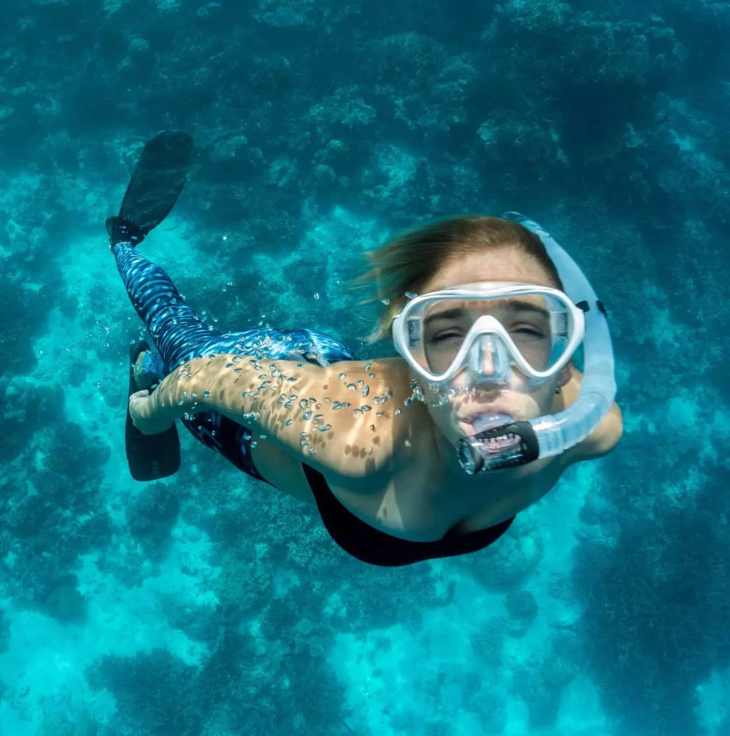 Natural Marine Reserve Snorkel & Kayak Excursion