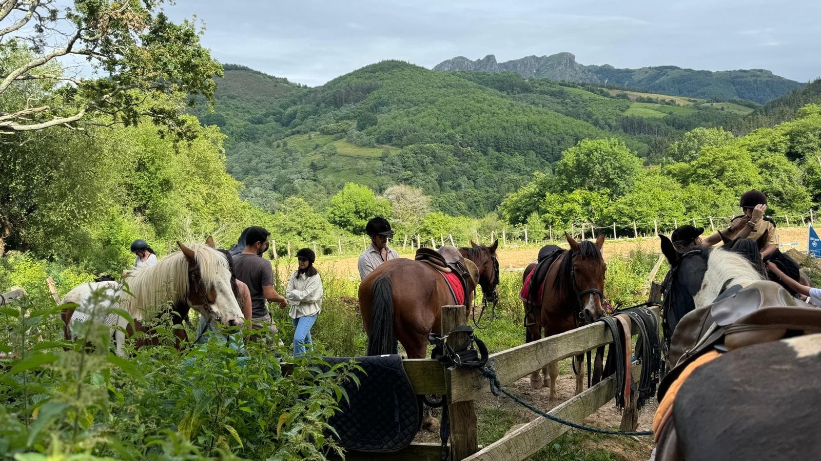 Youth Private Experience Basque on Horseback