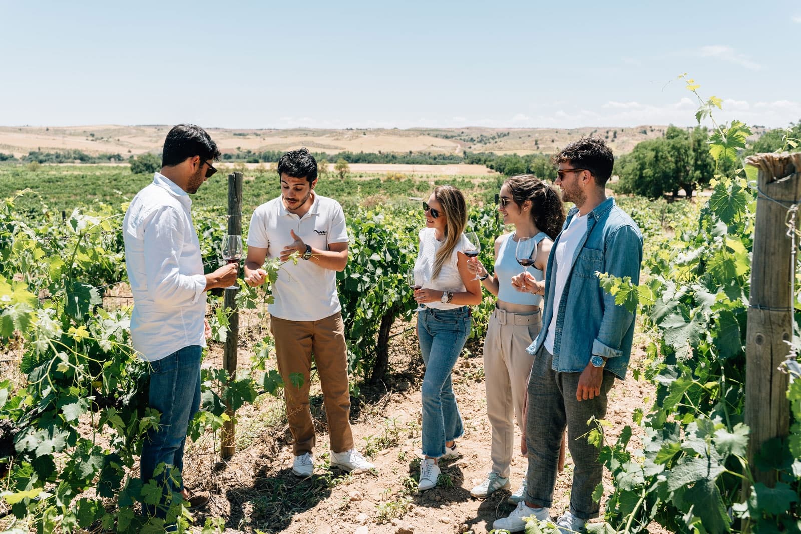 Toledo City visit & Winery experience with wine tasting from Madrid