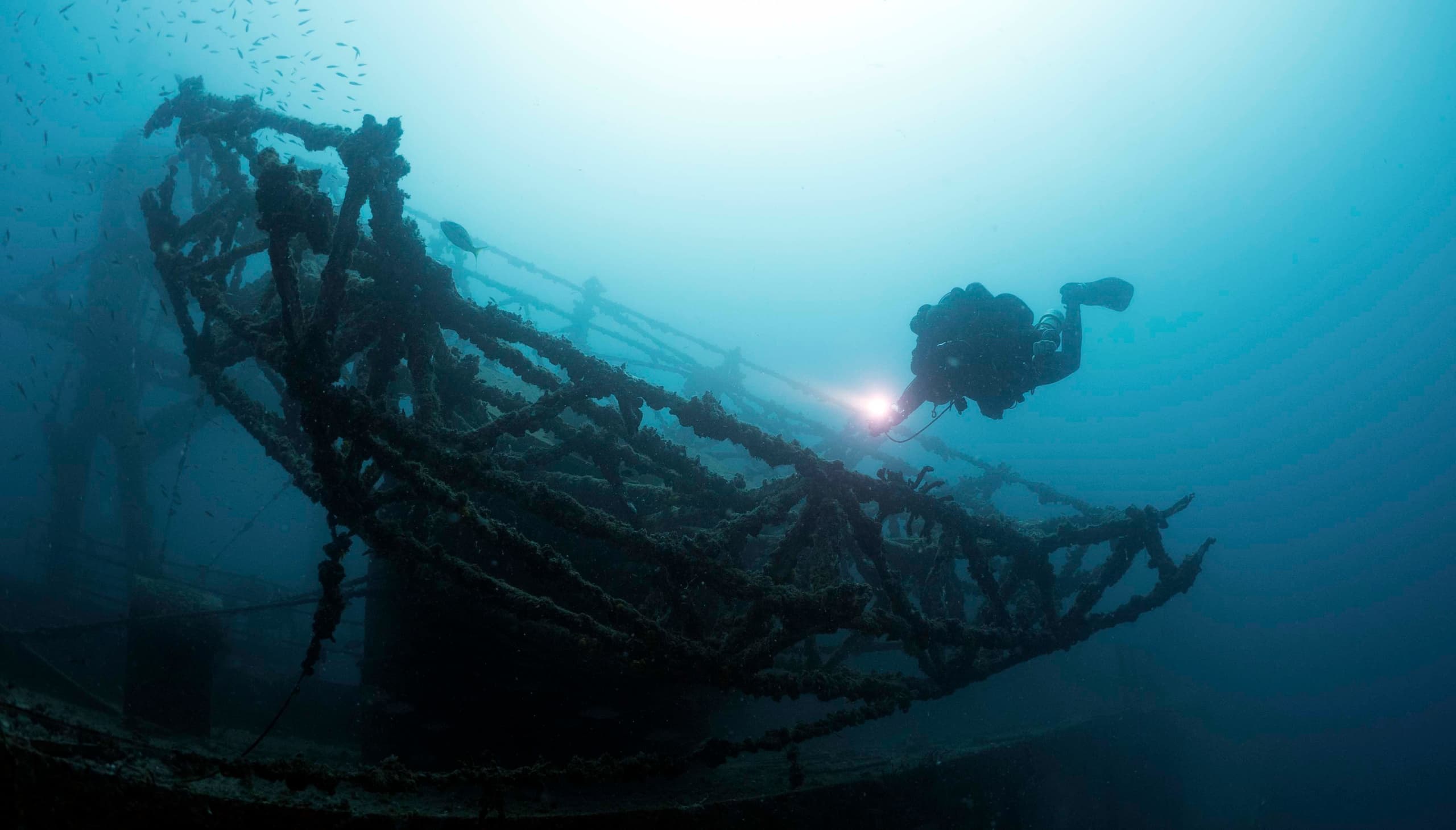 Solo Diver Class