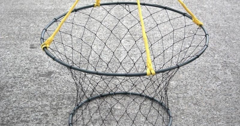 Additional Crab Rings