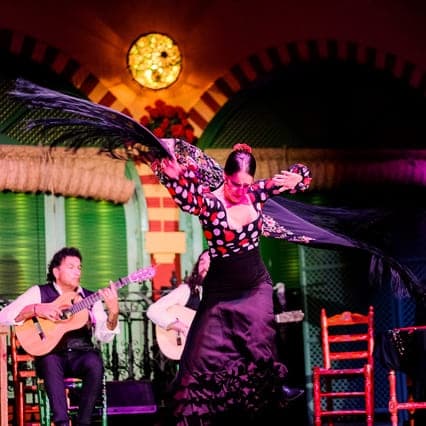 Palacio Andaluz, Flamenco Show with Dinner.