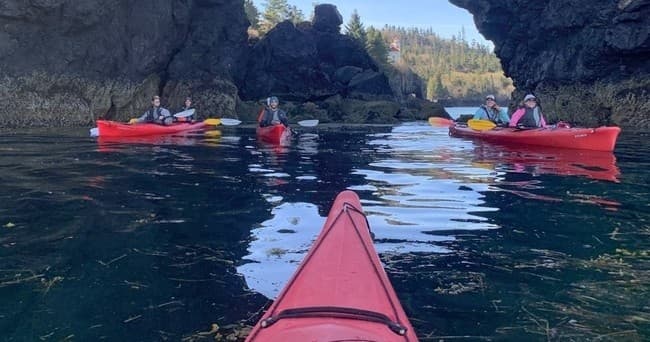 Halibut Cove ¾ Day Sea Kayaking Tour