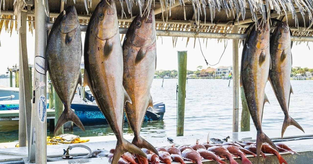 Fishing Charter
