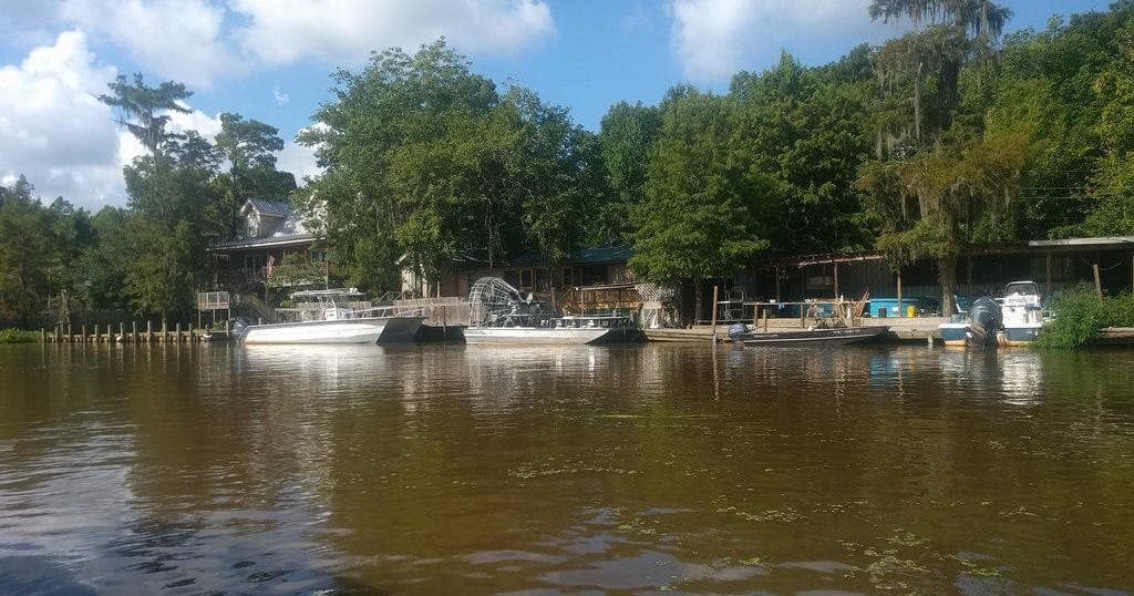 Swamp Tour • Large Airboat Ride