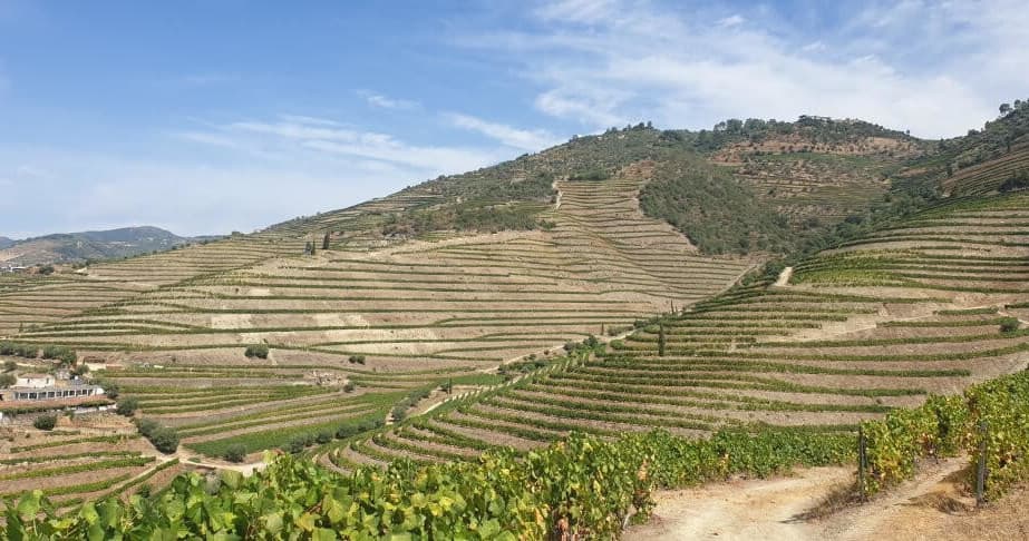 Douro Valley Bicycle tour