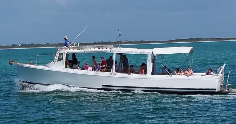 Dolphin Snorkeling Cruise