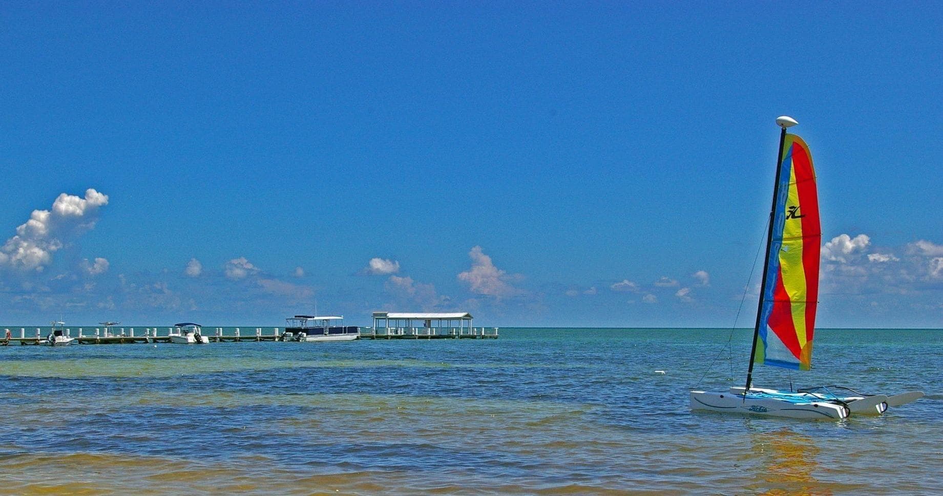 Hobie Cat Sailing