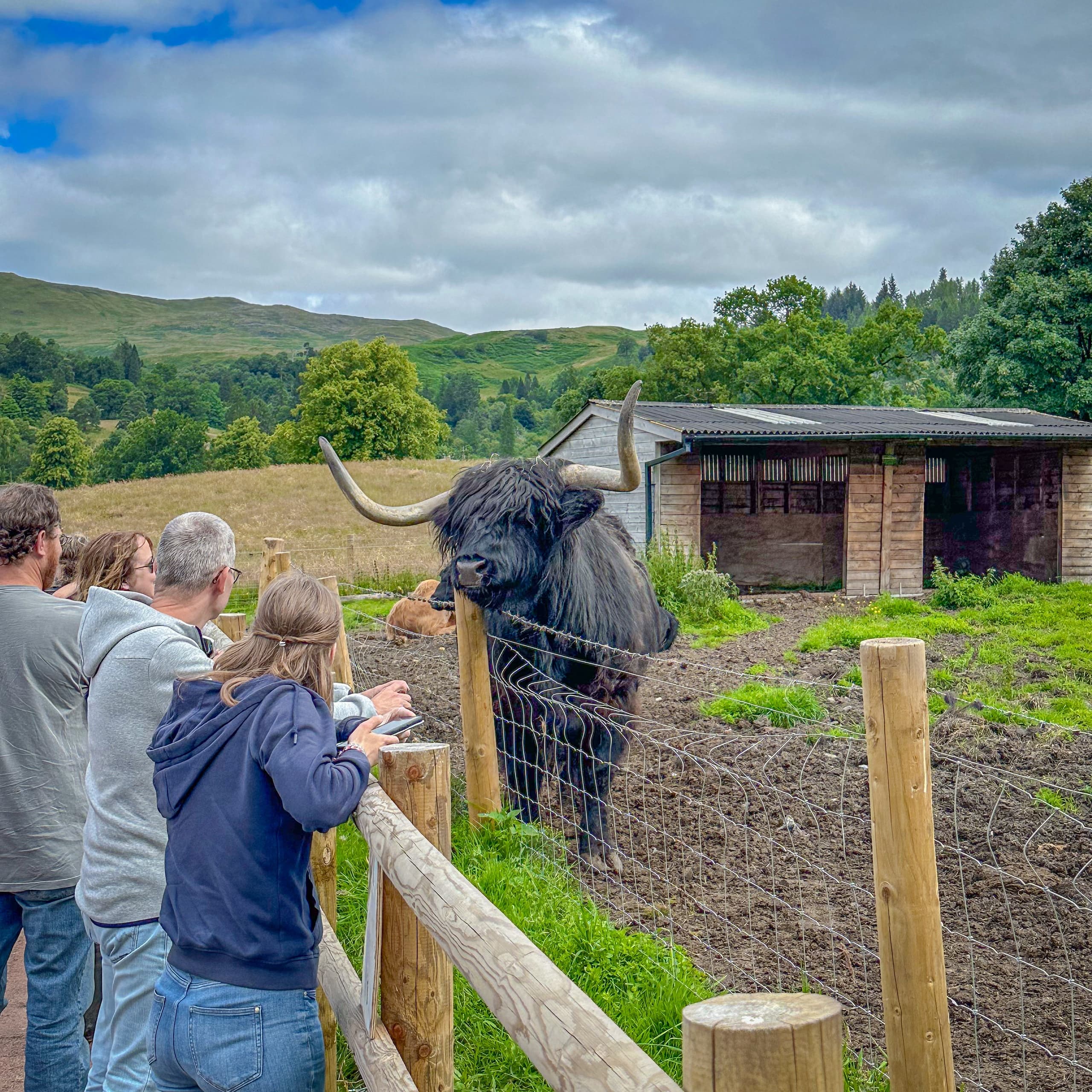 From Edinburgh - Stirling Castle, Loch Lomond & The Kelpies Tour
