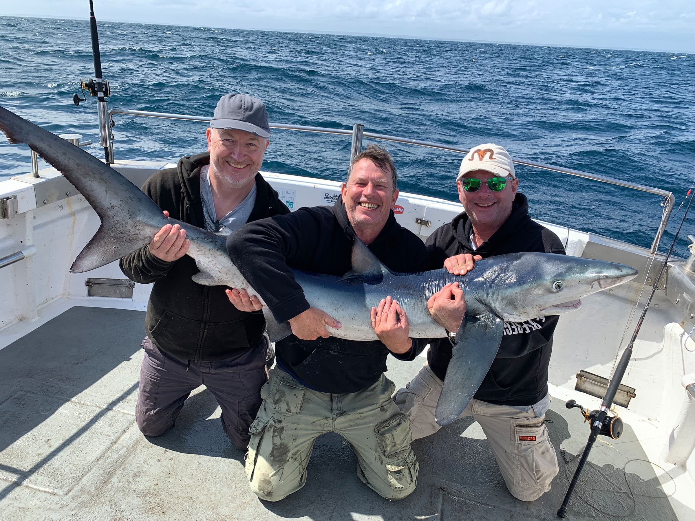 Shark Fishing