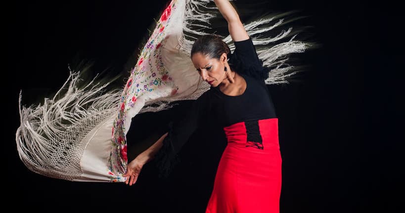 Visita Guiada Alhambra + Espectáculo Flamenco
