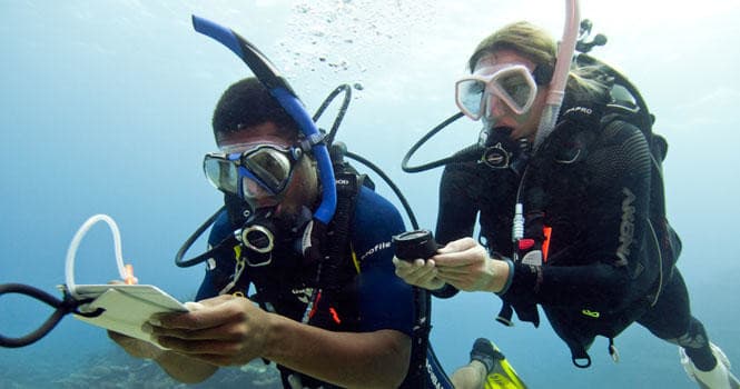 PADI Rescue Diver