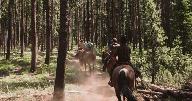 Full Day Horseback Trail Rides