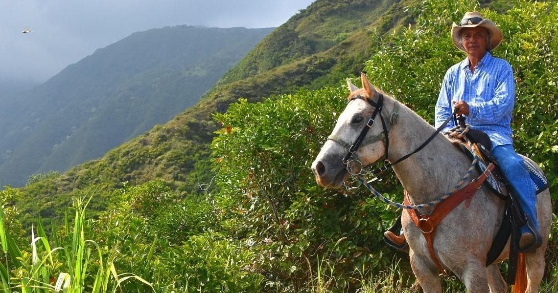 Morning Horseback Ride