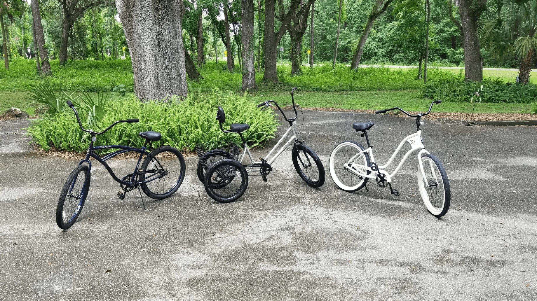 Four Hour Bike Rentals