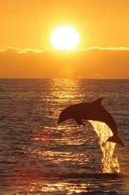 3 Hour Private Sunset Cruise