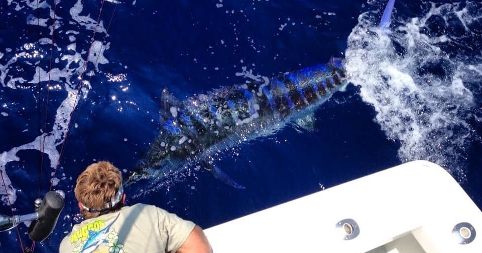 Full Day Private Fishing Charter