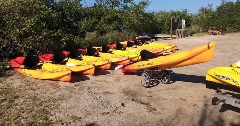 Kayak Rentals