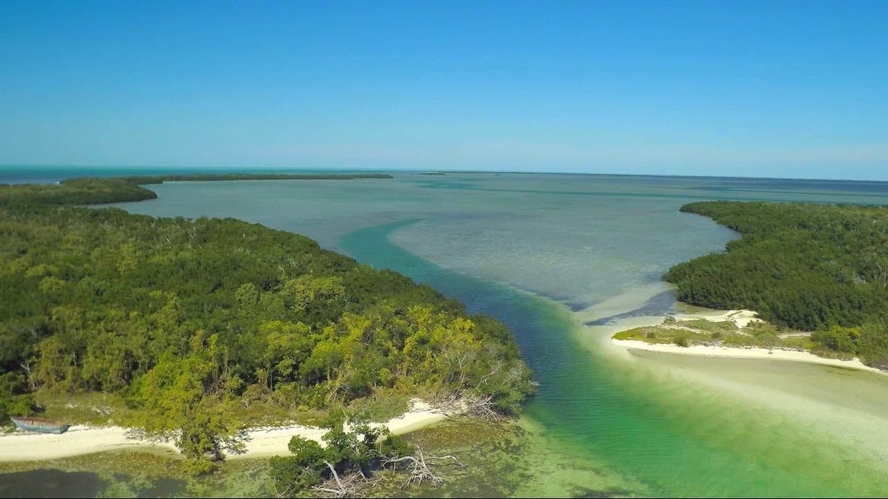 Discover the Marquesas Keys - Private Trip