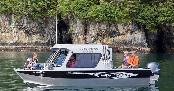 21' Hard Top Halibut/Salmon Boat Rental - VO2 (200hp)