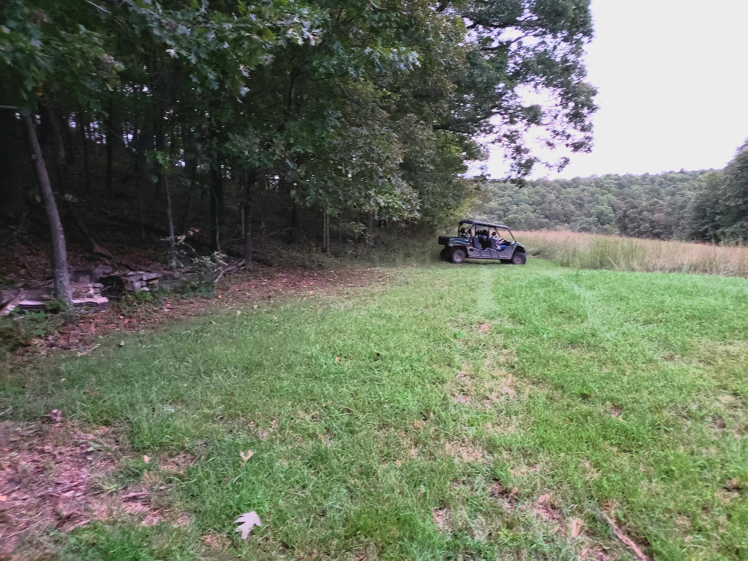 Cockatiel Camp B - Tents - Primitive Camping
