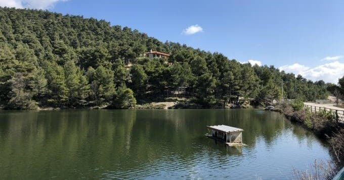 ATHENS EAST: 4x4 Safari Adventure in Marathon Country