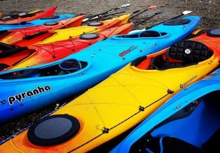 Kayak Rentals
